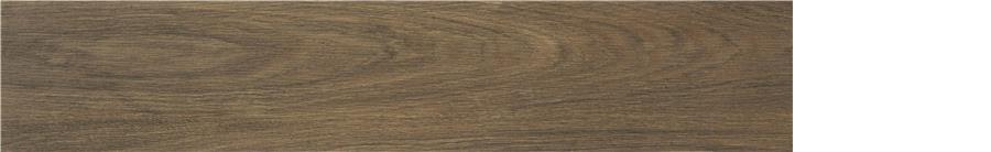 Lionel Nogal Mt 23/120