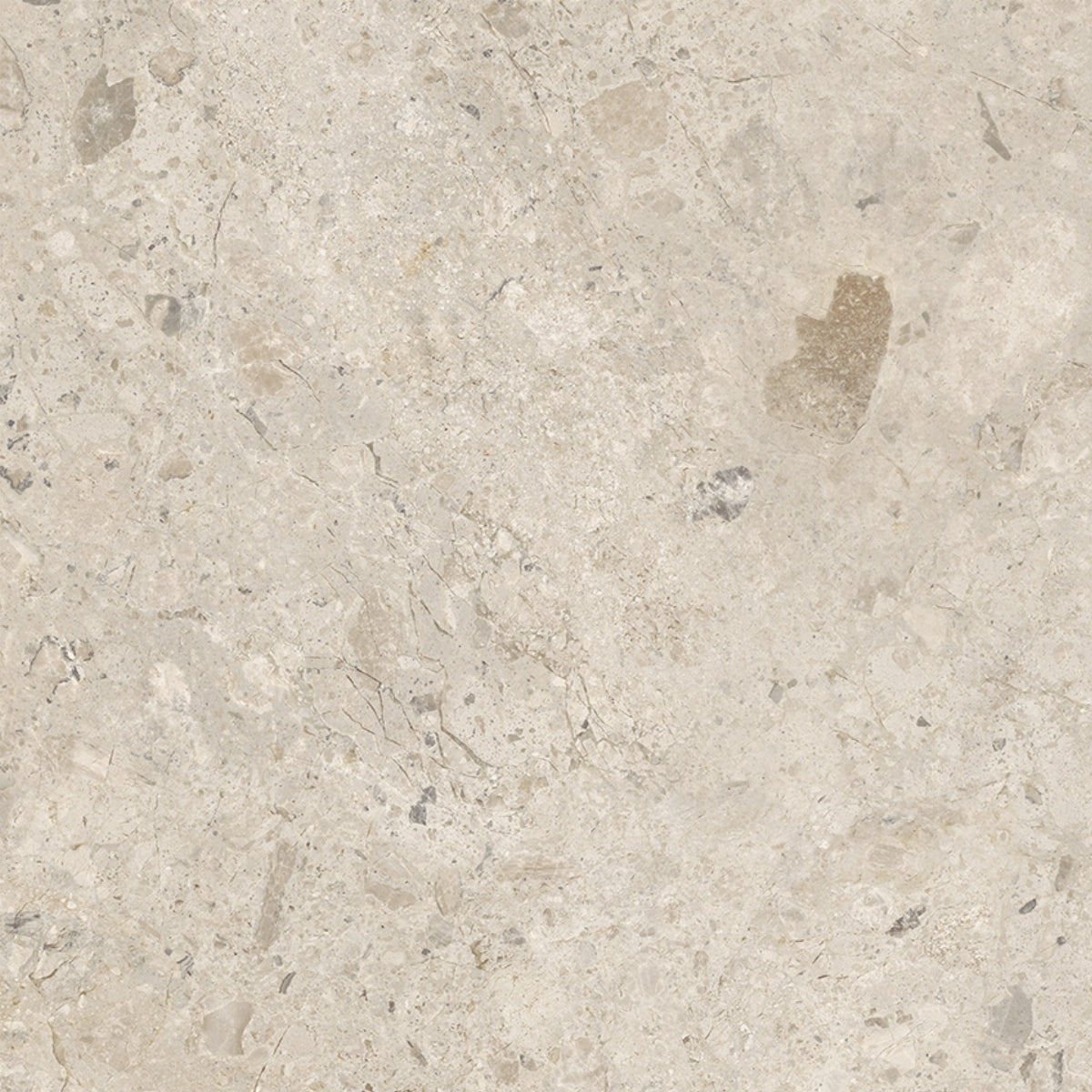Ambrosia Sand 60/60