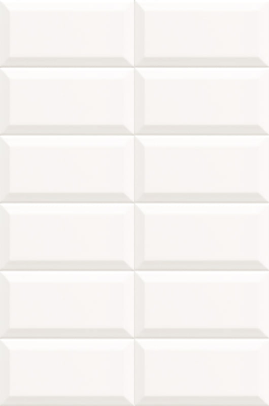 Bissel Blanco 10/20