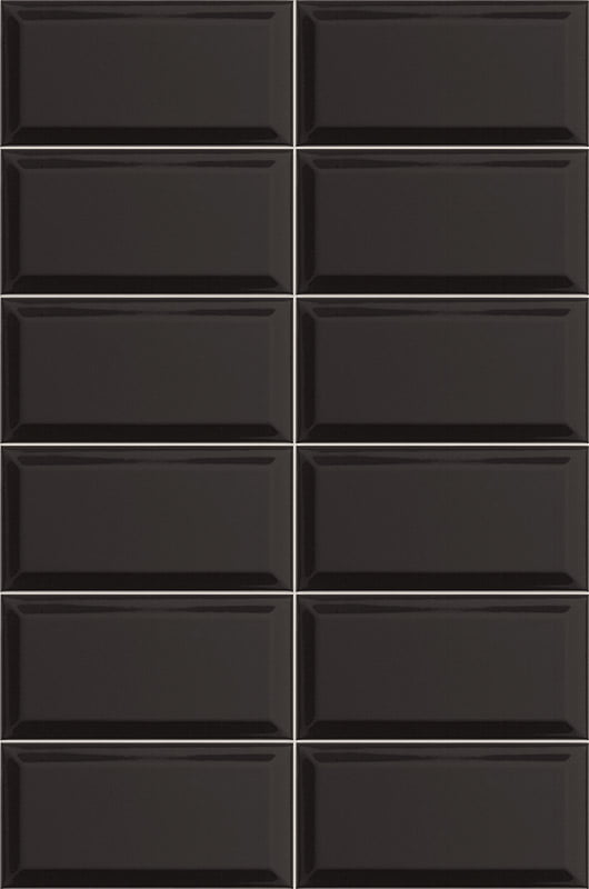 Bissel Negro 10/20