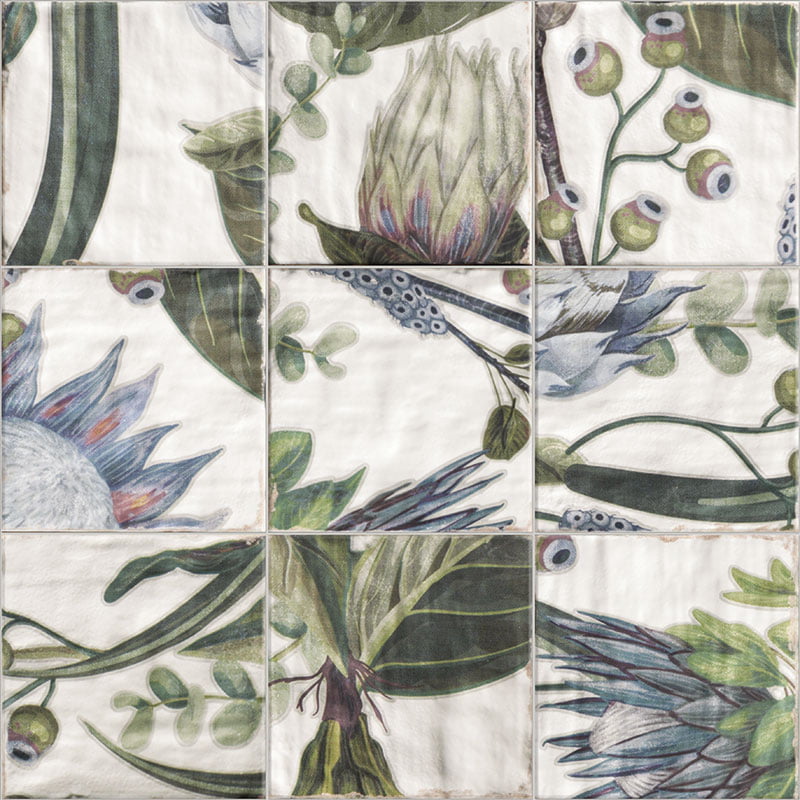 Décor Protea 20/20