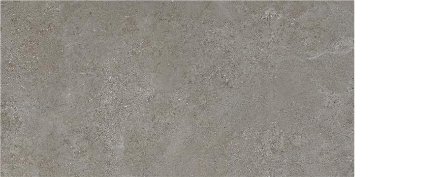 Arenite Grey Dark Mt Rect 60/120