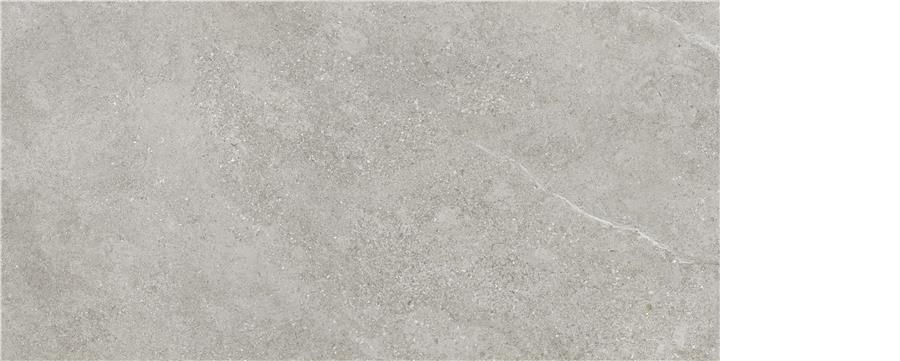 Arenite Grey Mt Rect 60/120