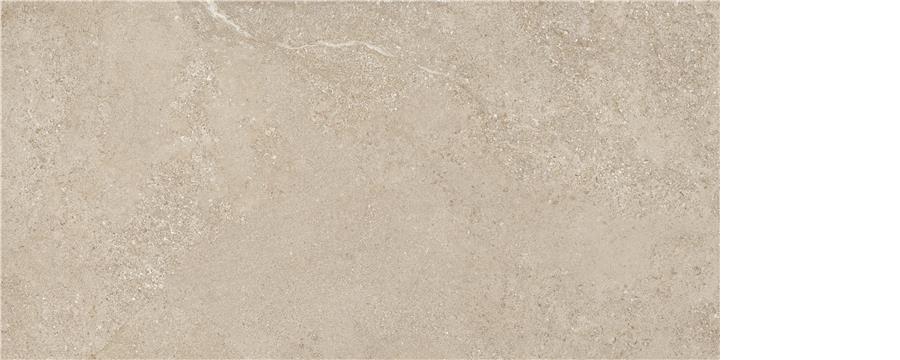 Arenite Natural Mt Rect 60/120