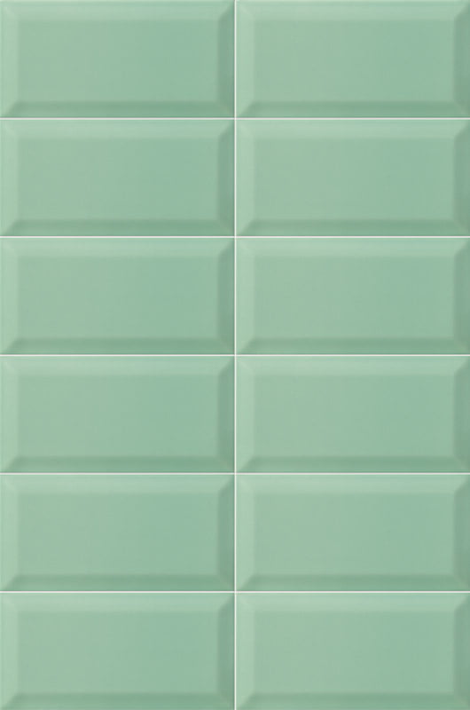 Bissel Emerald 10/20
