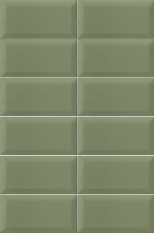 Bissel Green Olive 10/20