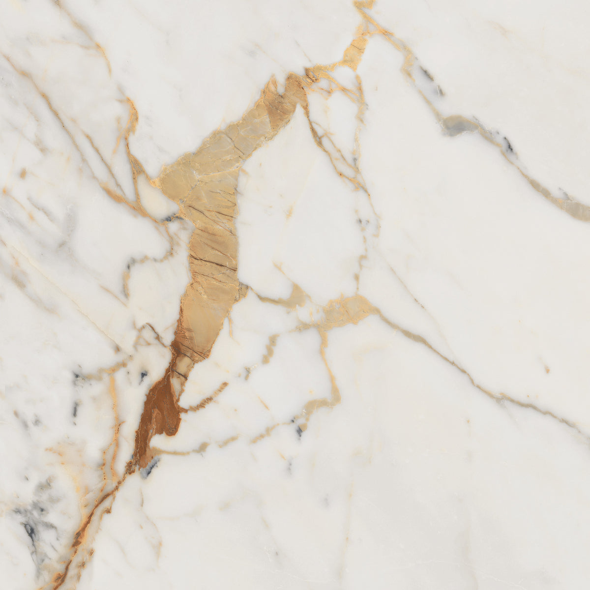 Allmarble 60X60 Golden White