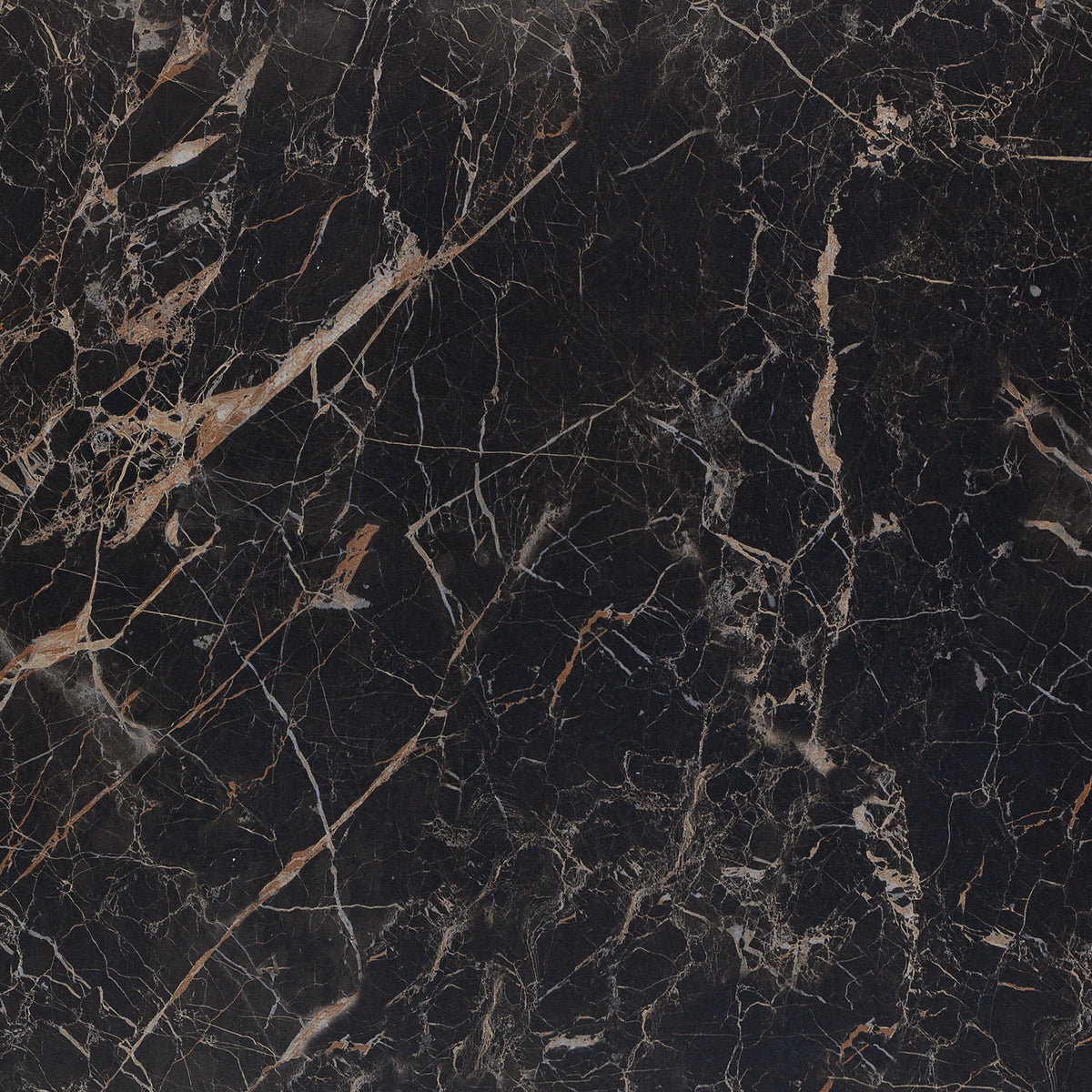 Allmarble 60X60 Saint Lauren