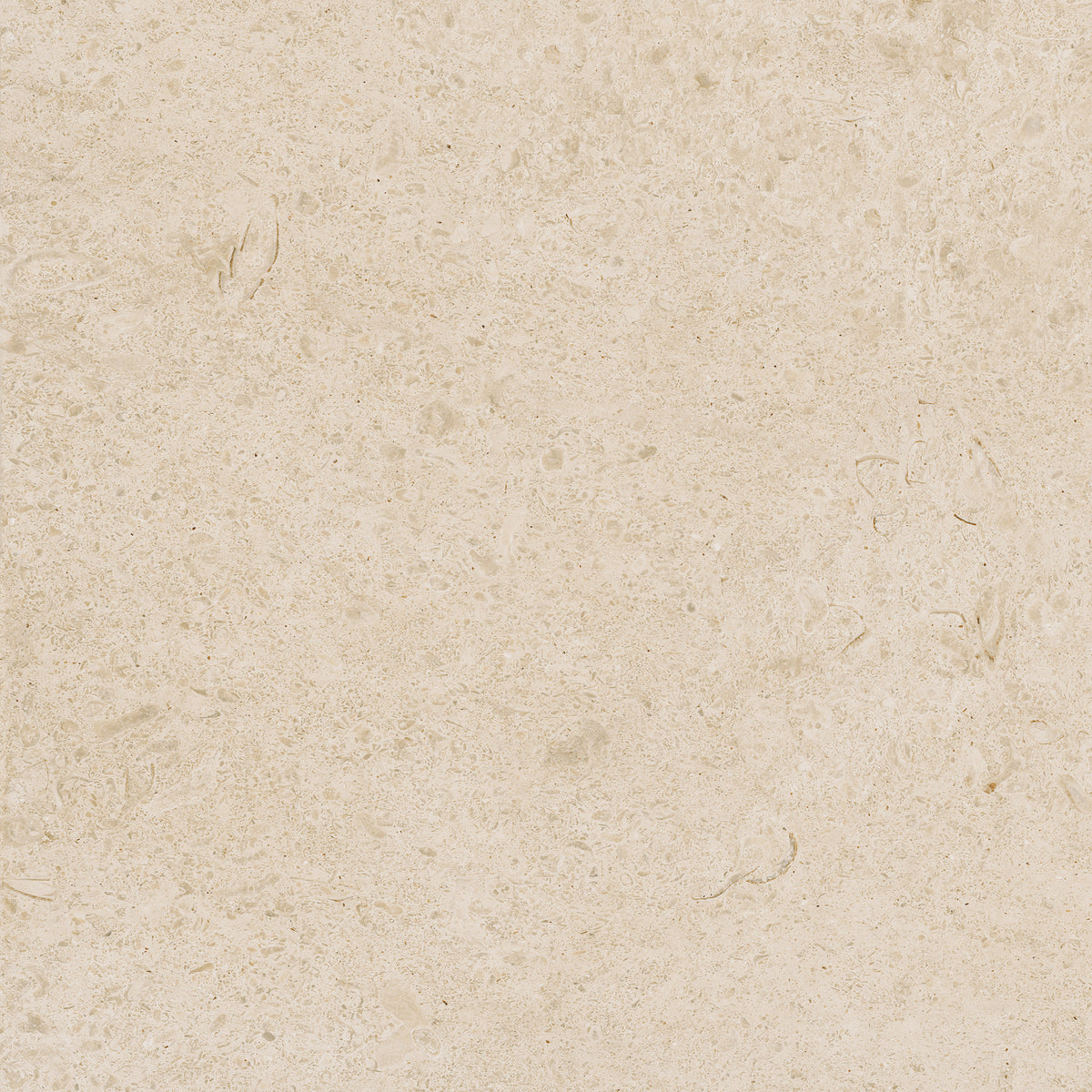 Caracter 60X60 Arena
