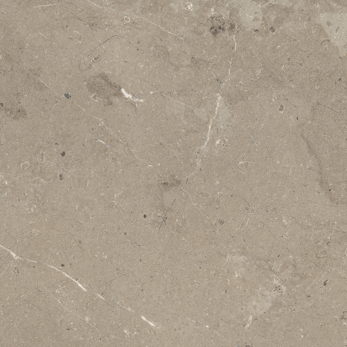 Myst.Limestone 60X60 Taupe