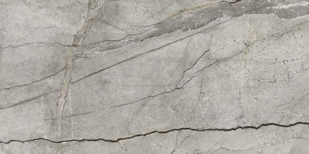Silver Root 60X120 Grey R10