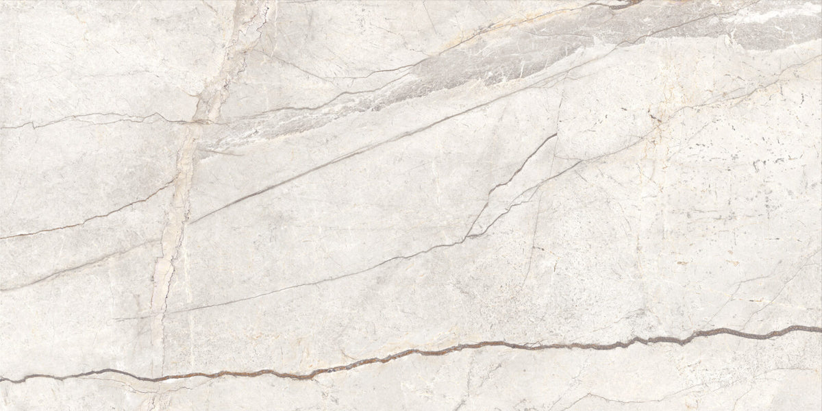 Silver Root 60X120 White R10